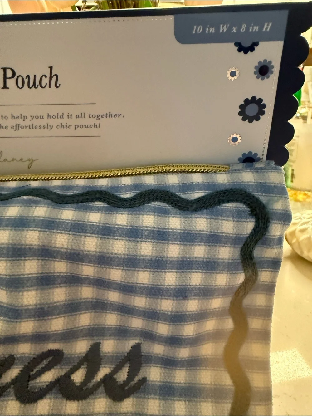 🌷NEW🌷Embroidered 'Hot Mess Express' Blue Gingham Pouch